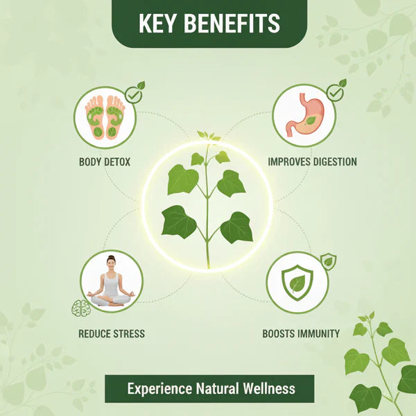 Giloy Herbal Detox Foot Patches New Pack BUY 1 GET 1 FREE