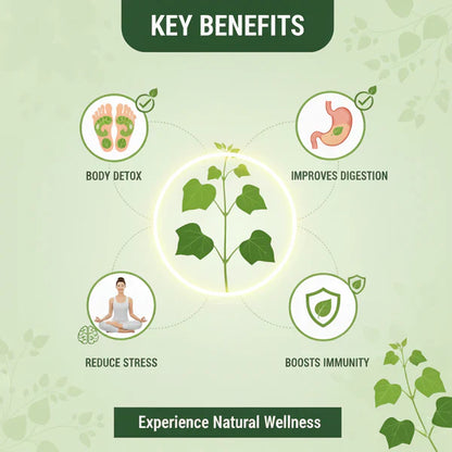 Giloy Herbal Detox Foot Patches New Pack BUY 1 GET 1 FREE